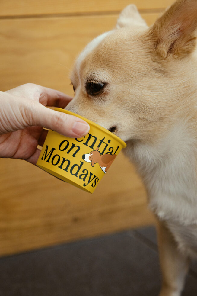 Dog drinking from yellow cup with Essential on Mondays text playful design image for mockup templates pet graphics SEO digital assets designers.