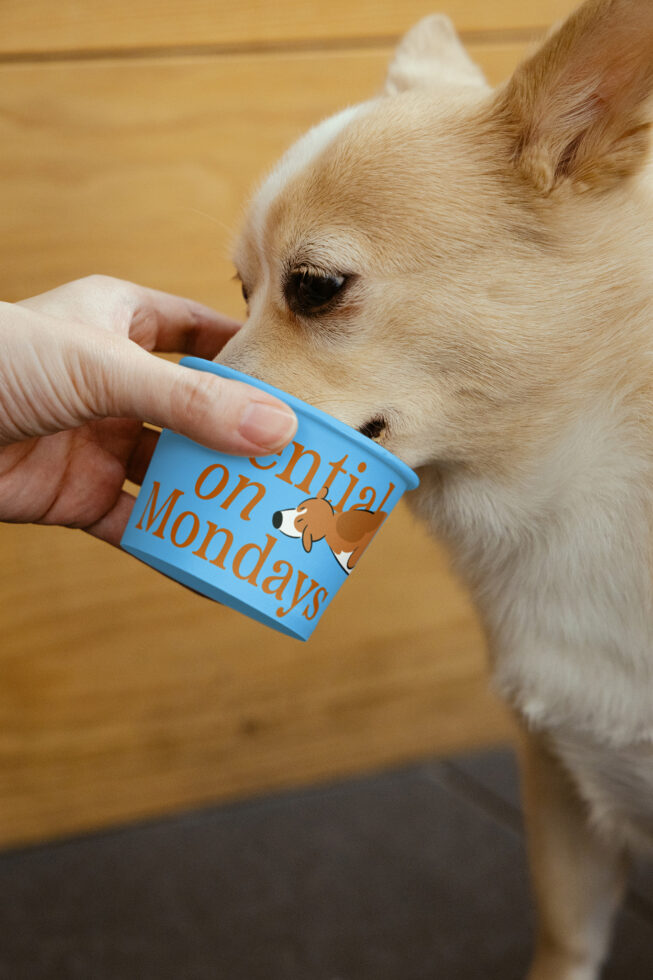 Cute dog drinking from blue cup with Monday essentials text held by hand; ideal for design mockups and branding. Keywords: mockup, design, branding.