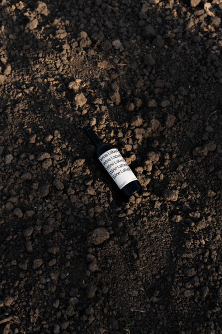 Wine bottle mockup with white label lying on rocky dirt ground from above