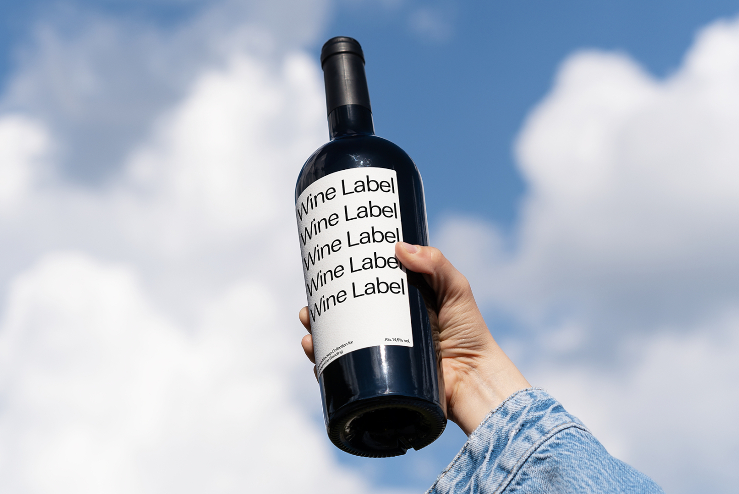 Hand holding a wine bottle with a blank label against a blue sky and clouds ideal for mockups label design packaging product presentation templates