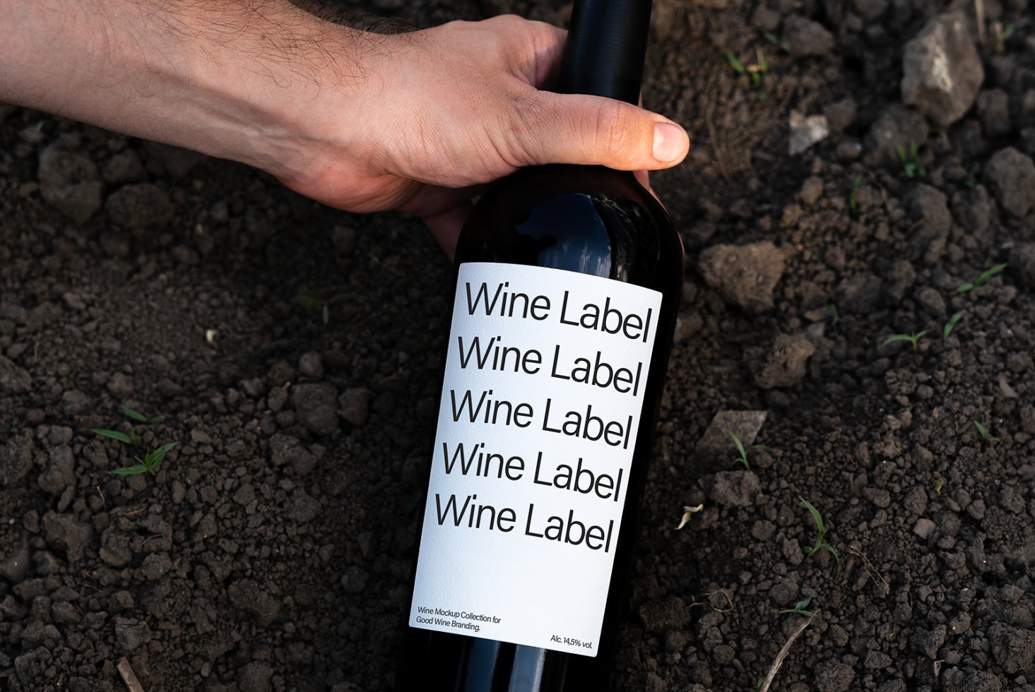 Hand holding wine bottle with minimalist label design on soil background. Perfect for designers in need of wine branding mockups and packaging design.