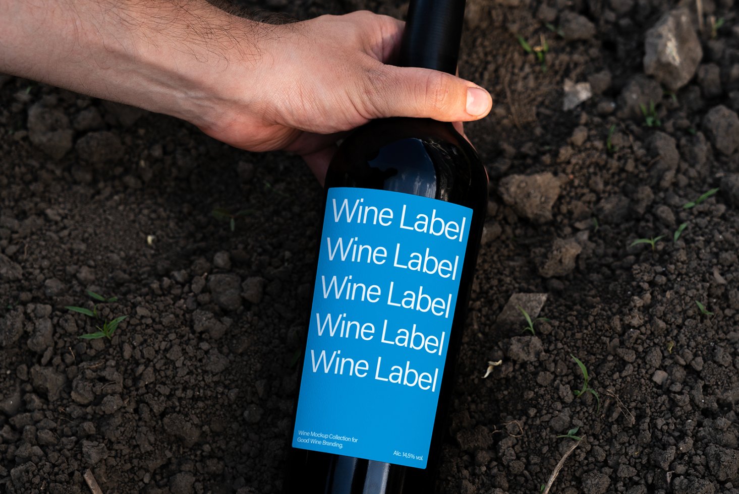 Hand holding a wine bottle with a blue customizable label in a soil background. Ideal for wine label mockups and branding design.