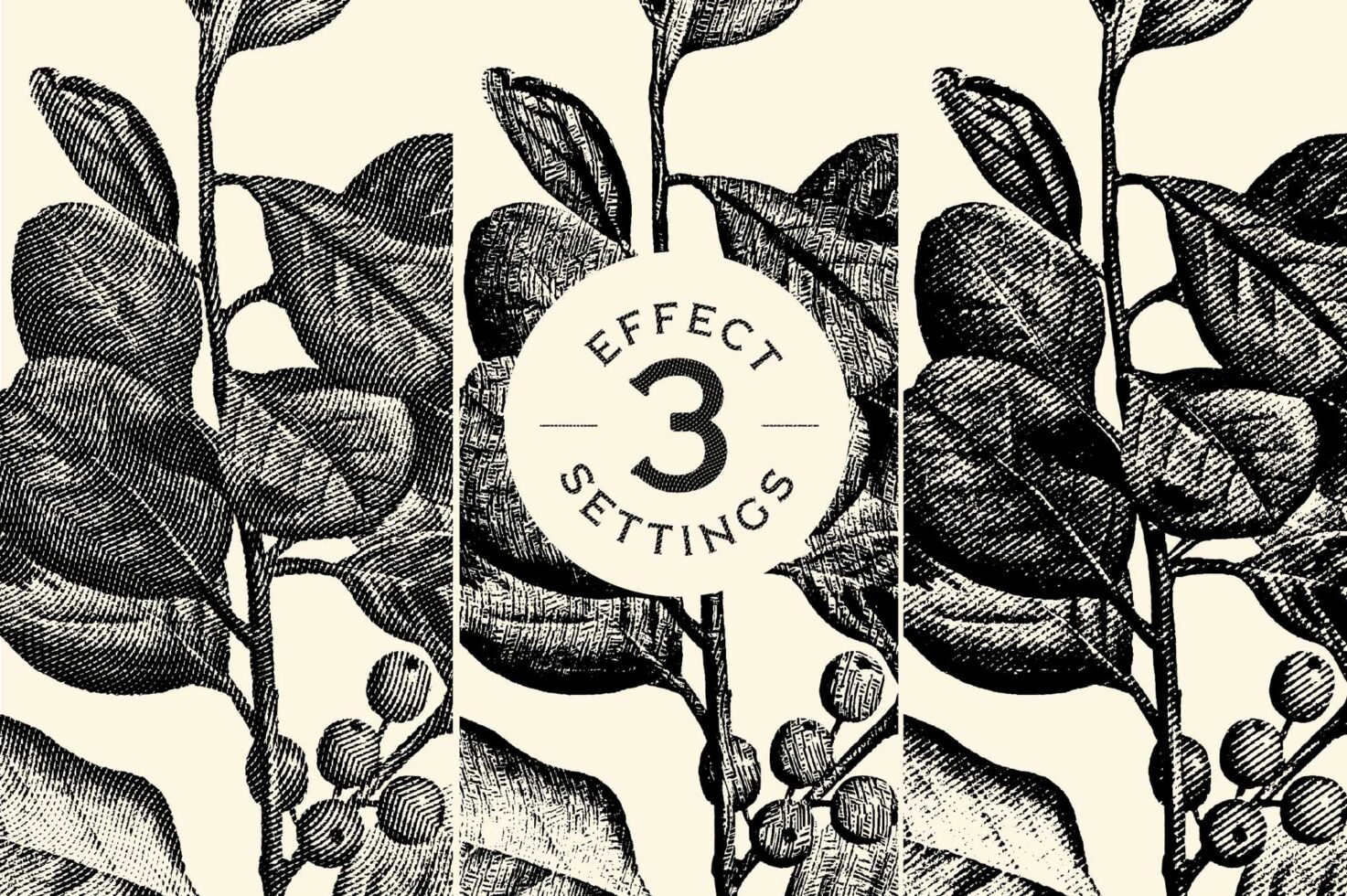 Vintage botanical illustration template with black leaf sketches on beige background. Includes three effect settings. Ideal for graphic design projects.