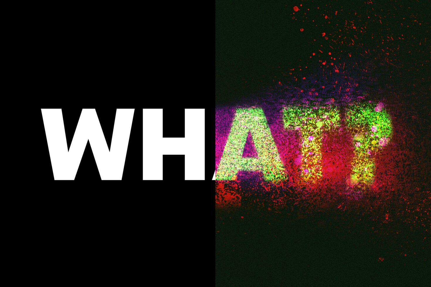 Bold text reading WHAT split into solid black and vibrant colorful splatter effect. Perfect for graphic design templates and typography projects.