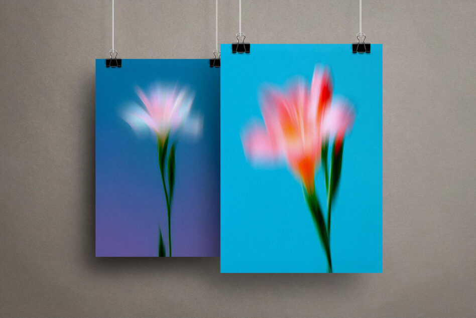Two hanging blurred flower posters with gradient blue teal backgrounds