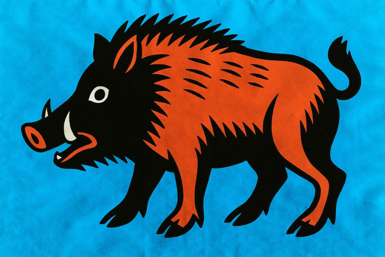 Colorful wild boar graphic illustration on blue background ideal for digital designers use in art templates and creative graphic design projects