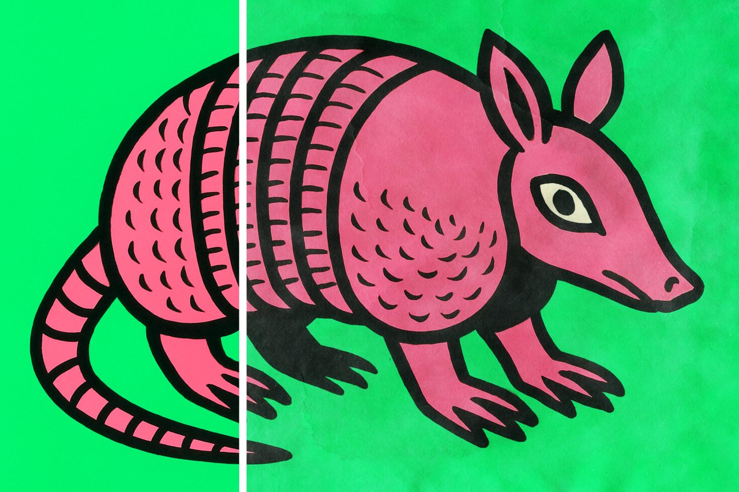 Colorful armadillo graphic with vibrant pink and green tones. Suitable for designers looking for unique animal illustrations, graphics, and templates.