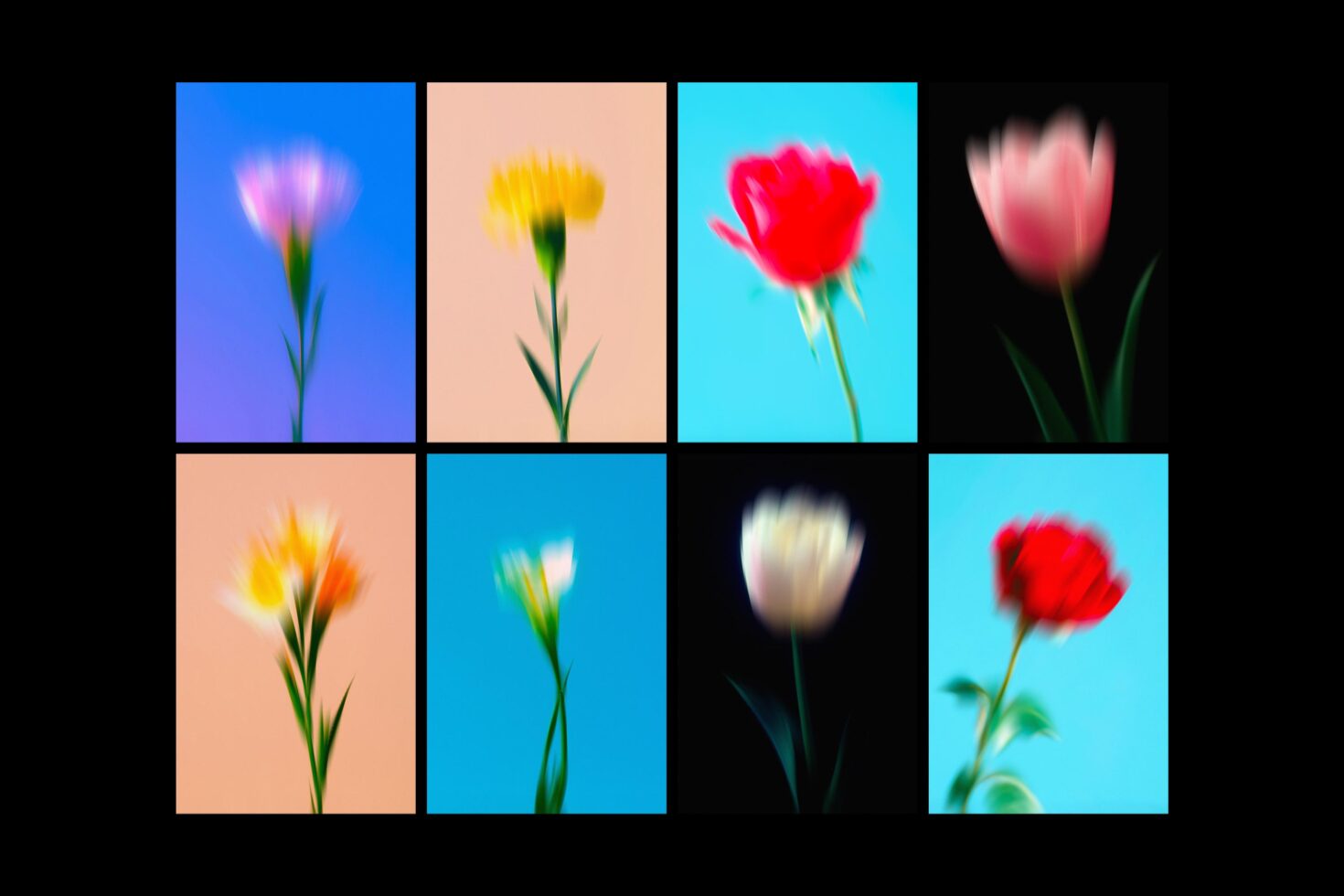 Blurred floral images on colorful backgrounds in grid layout. Perfect for graphic design templates and digital art projects. Nature-inspired designs.