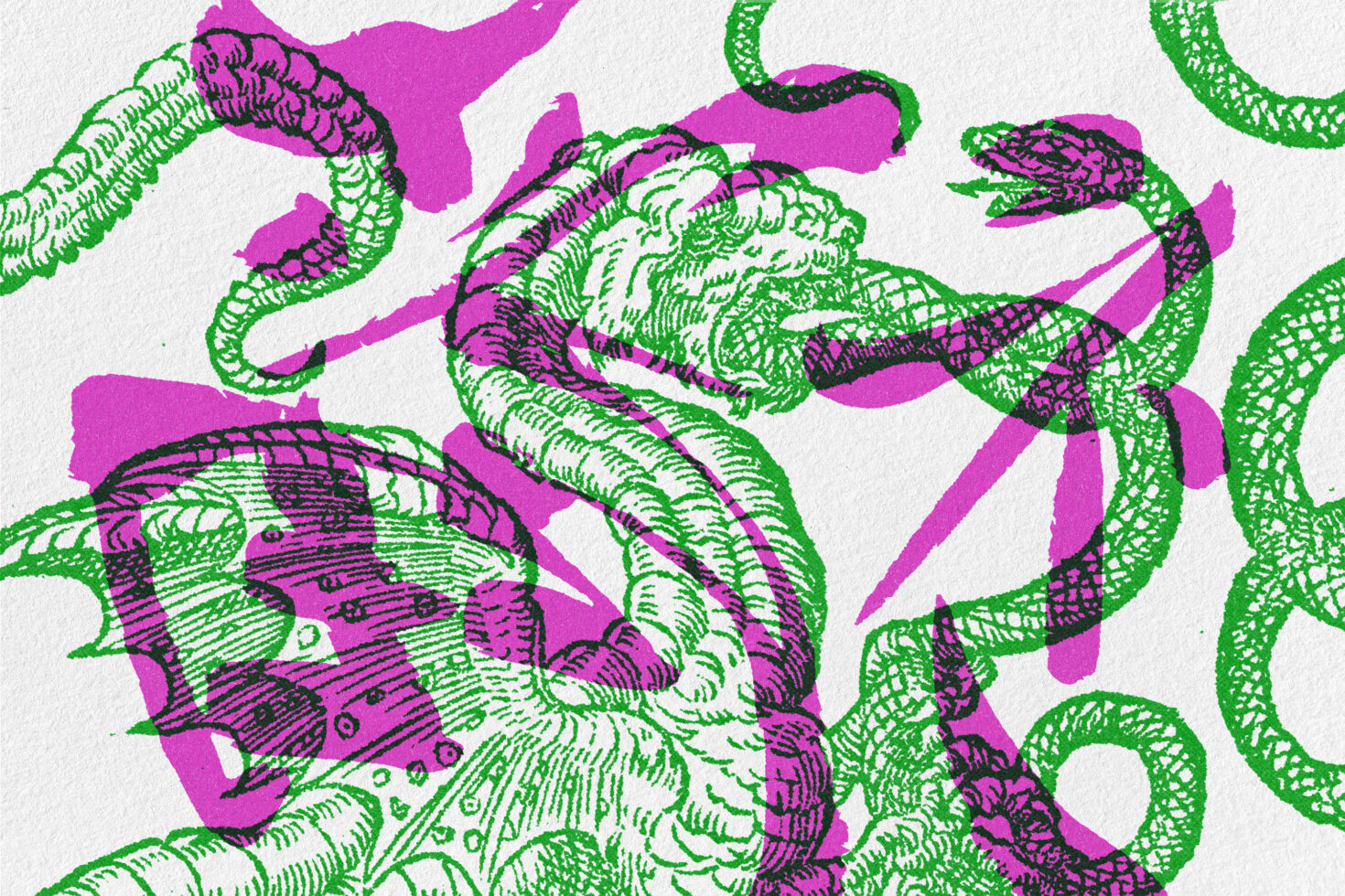 Tangled octopus tentacles with engraved texture in lime green, magenta, black overlay