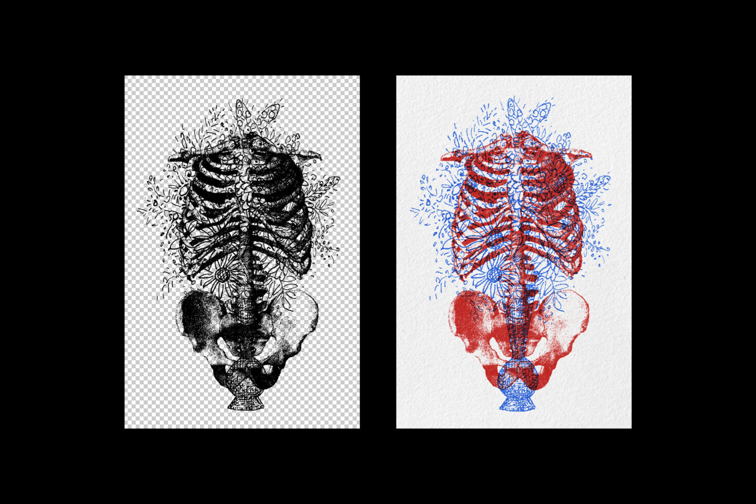 Anatomical skeleton ribcage with flowers in black ink line drawing plus colored version