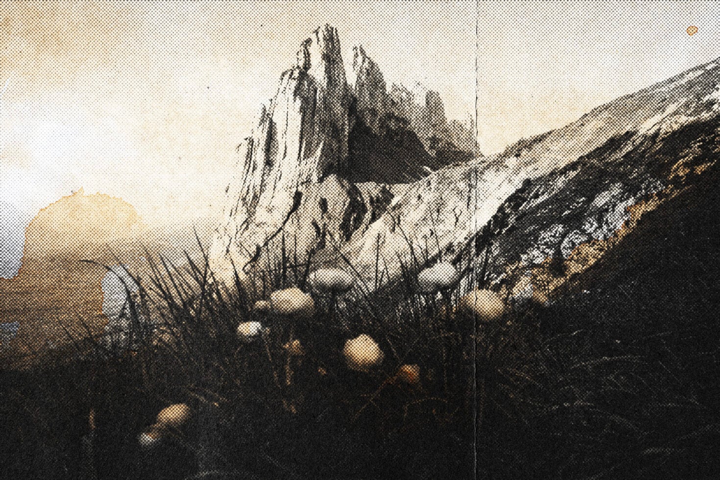 Sepia-toned mountain forest scene with bokeh lantern lights