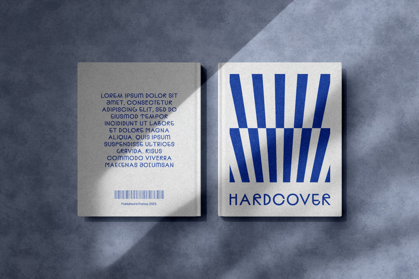 Two cream hardcover books with blue geometric stripes on blue text design