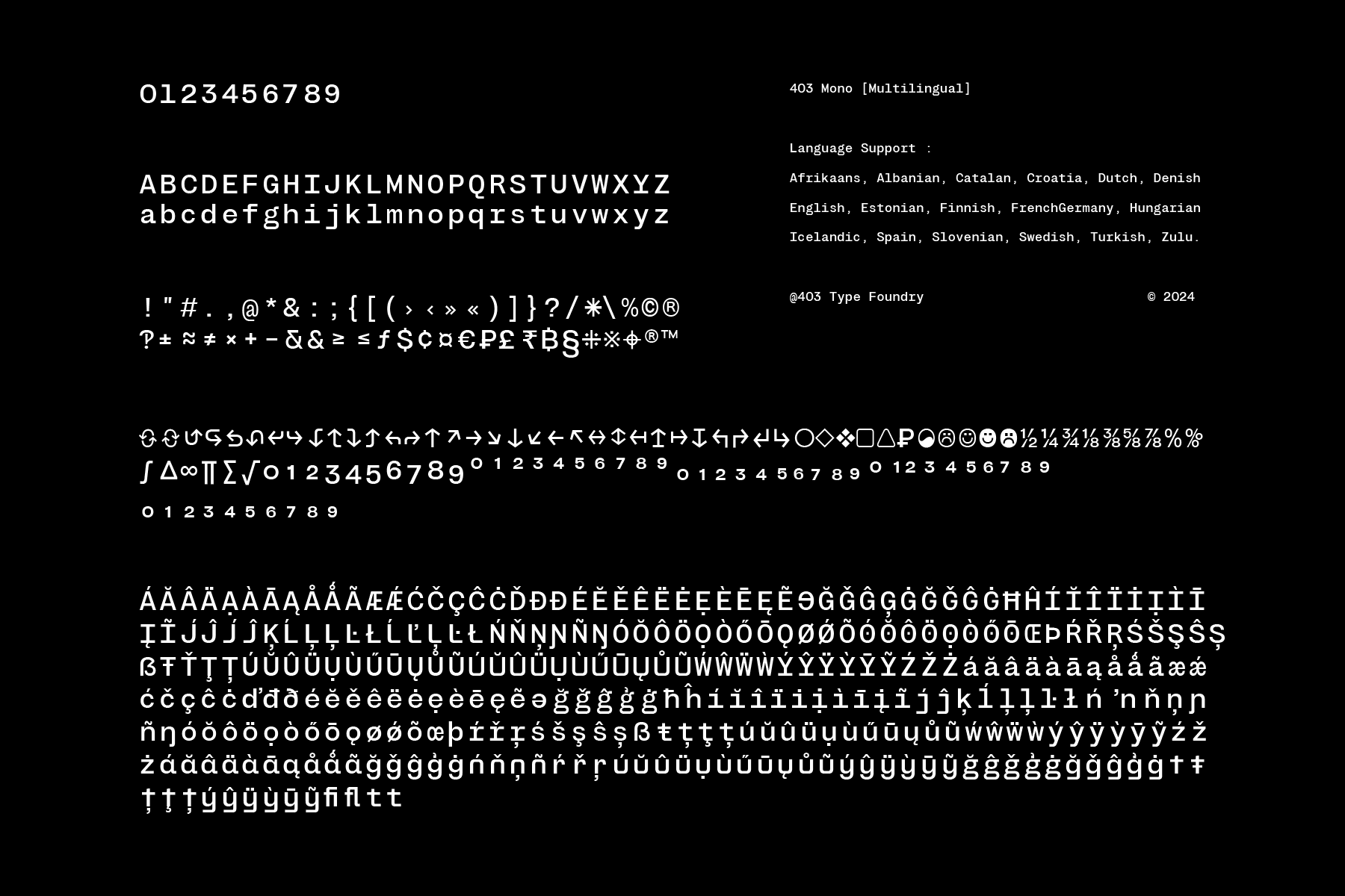 403 Mono multilingual character set with international diacritics supported