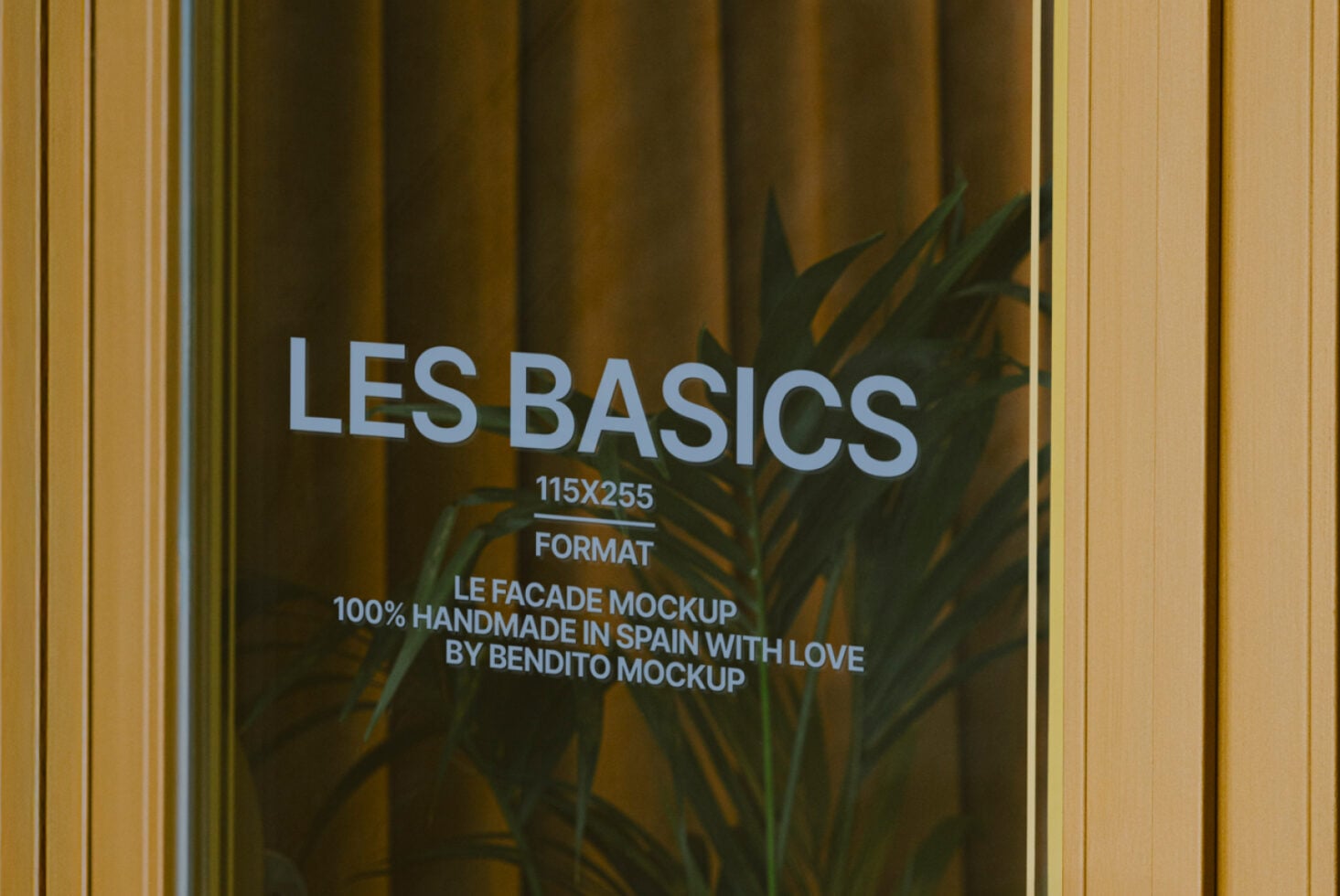 Wide storefront window with Les Basics signage, plant shadows, gold framing, olive drapes