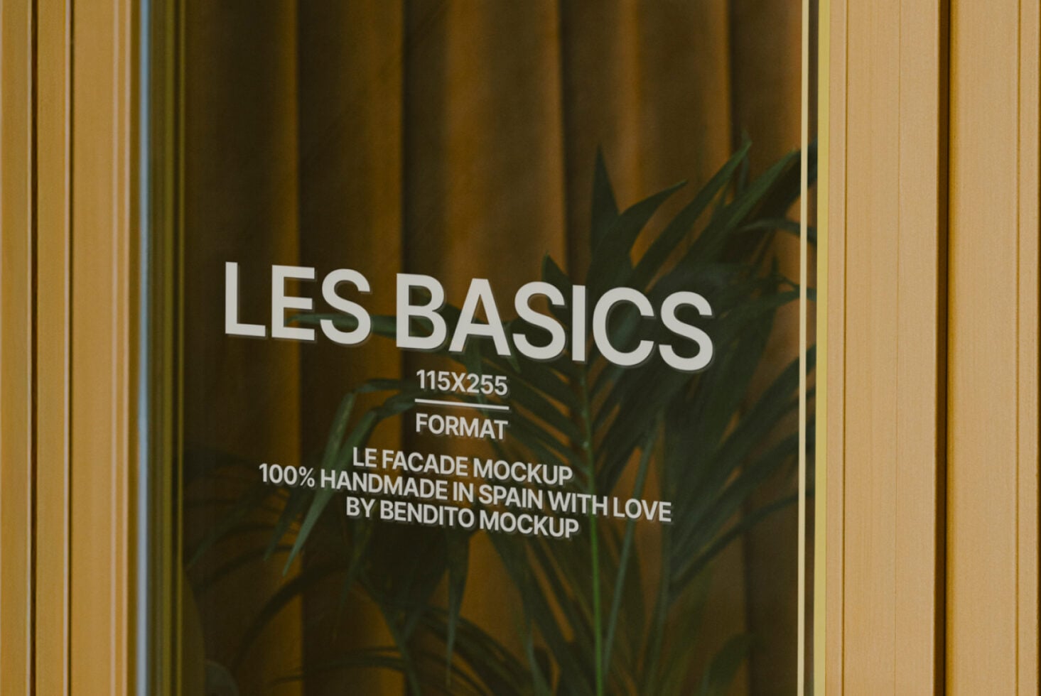 Wide storefront window with Les Basics signage, plant shadows, gold framing, olive drapes