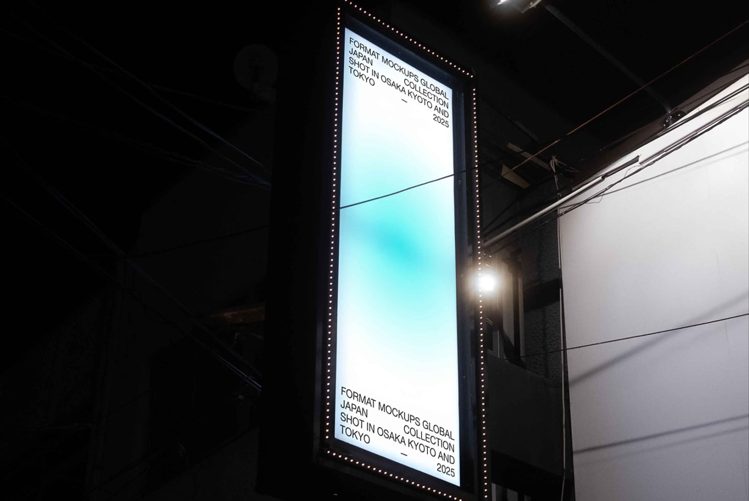 Illuminated vertical signage on building at night with Japanese characters