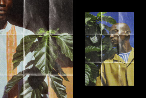 Collage mockup mixing person in yellow shirt with tropical green leaves