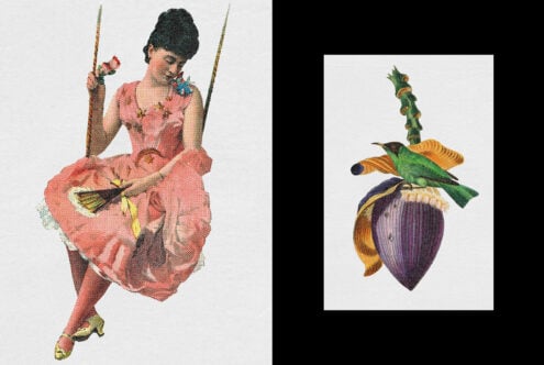 Retro collage of woman on swing with hummingbird on passion fruit botanical art