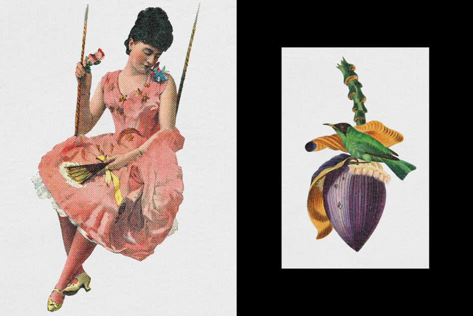 Retro collage of woman on swing with hummingbird on passion fruit botanical art