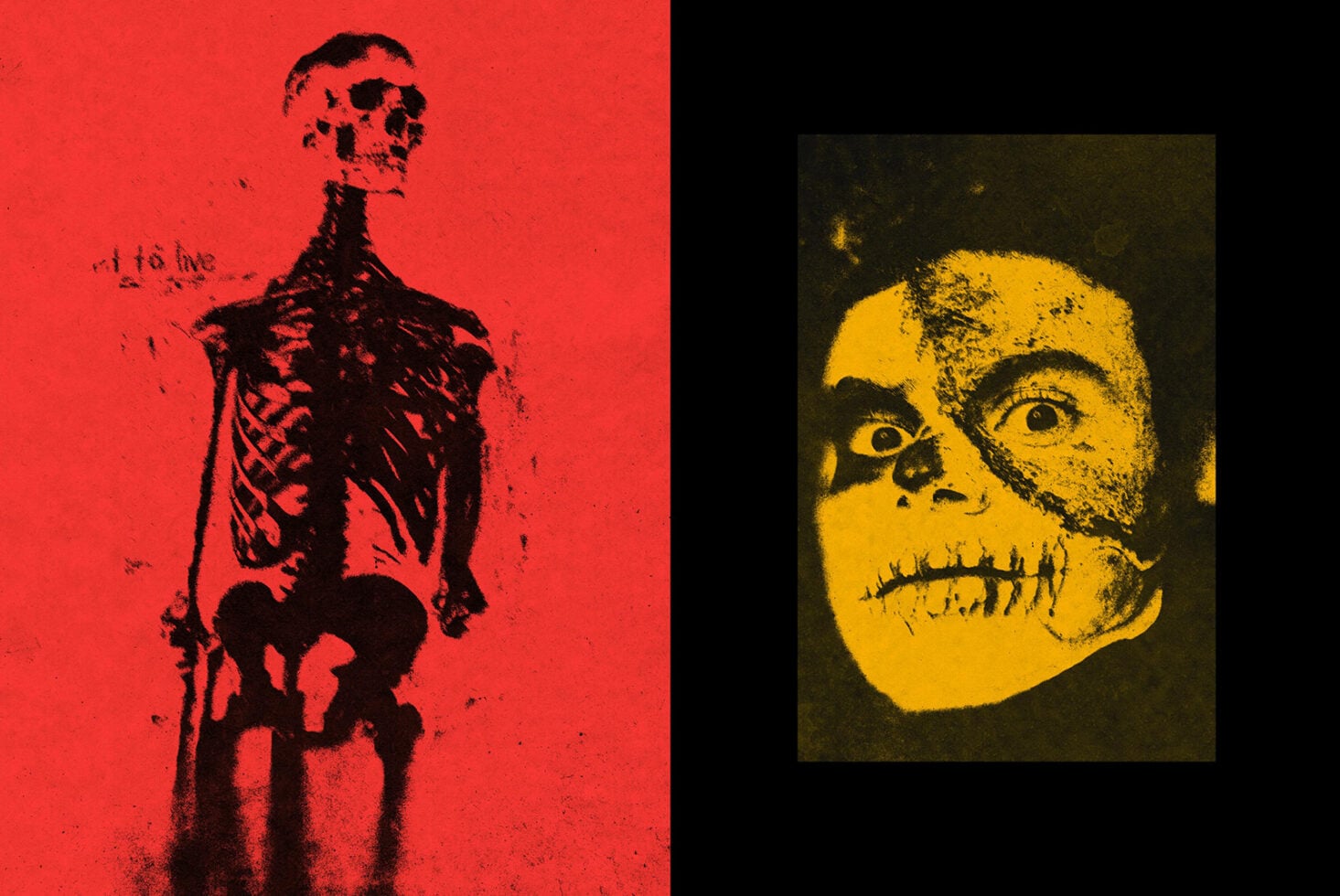 Red skeleton torso left, yellow skull half-face right with stitched jaw