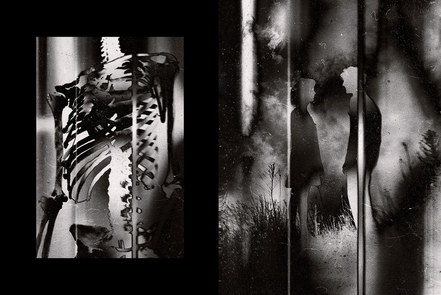 Grainy black-and-white film stills layered over each other with plants, fabric textures, distressed analog look