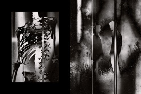 Grainy black-and-white film stills layered over each other with plants, fabric textures, distressed analog look