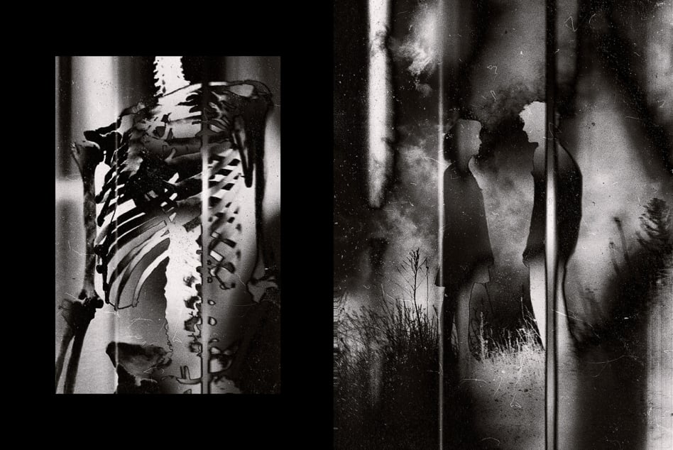 Grainy black-and-white film stills layered over each other with plants, fabric textures, distressed analog look