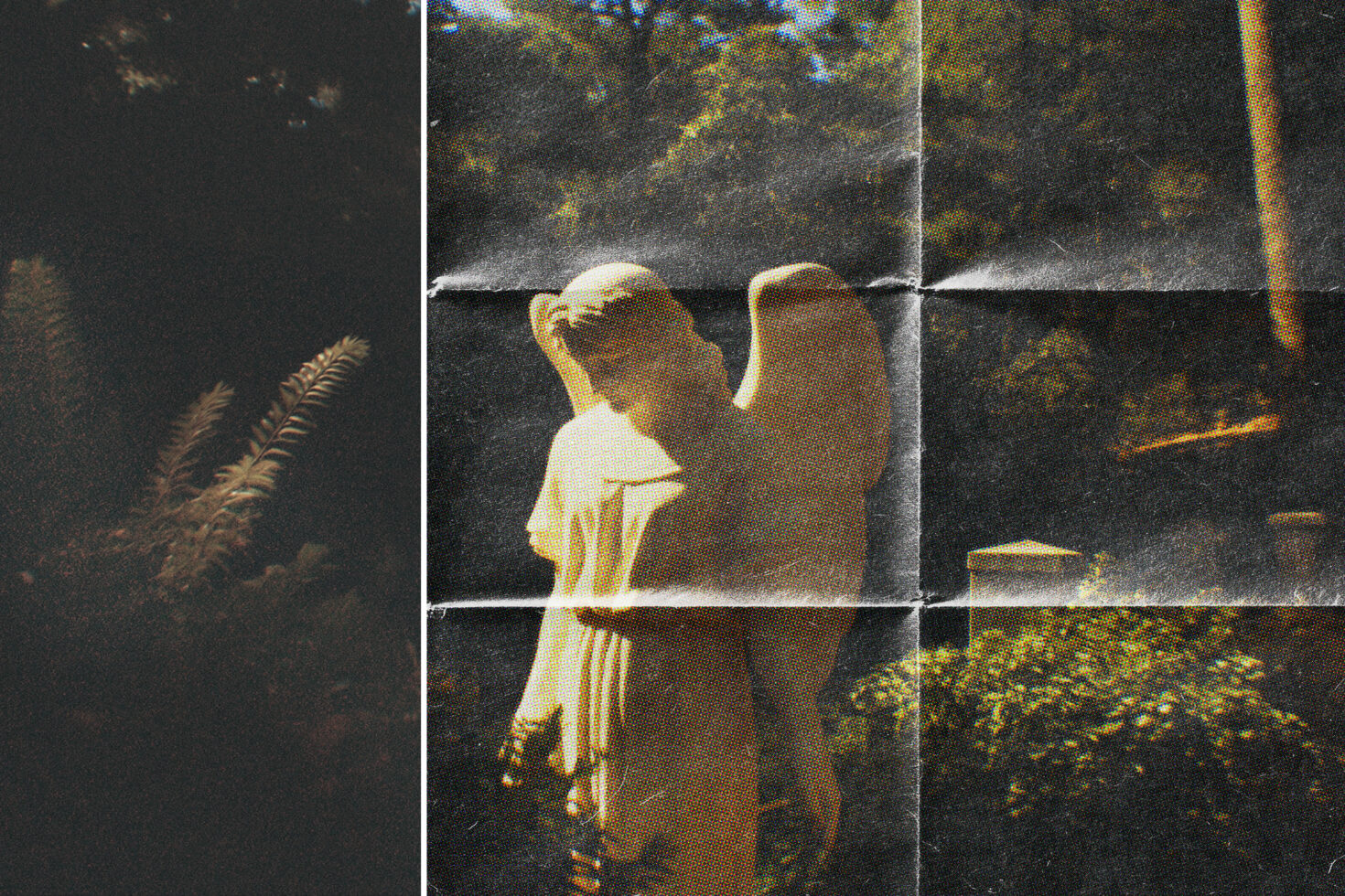 Nine-panel grid showing couple in golden hour forest light