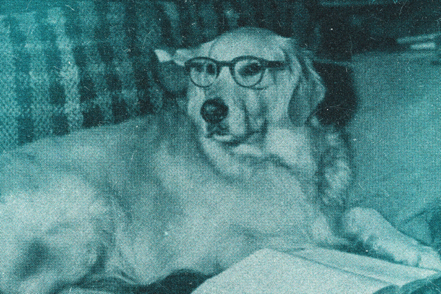 Teal grainy headshot with glasses, contemplative expression