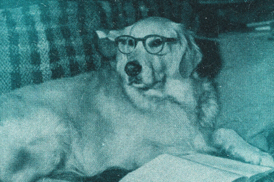 Teal grainy headshot with glasses, contemplative expression