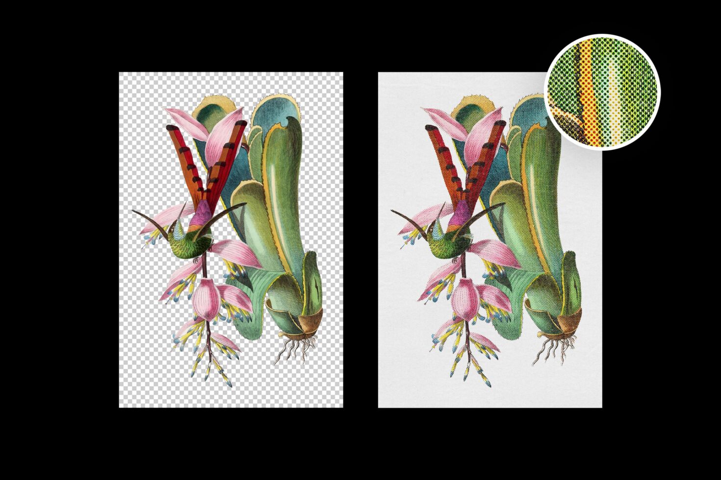 Vintage botanical illustration with exotic flowers, hummingbird, roots in halftone texture