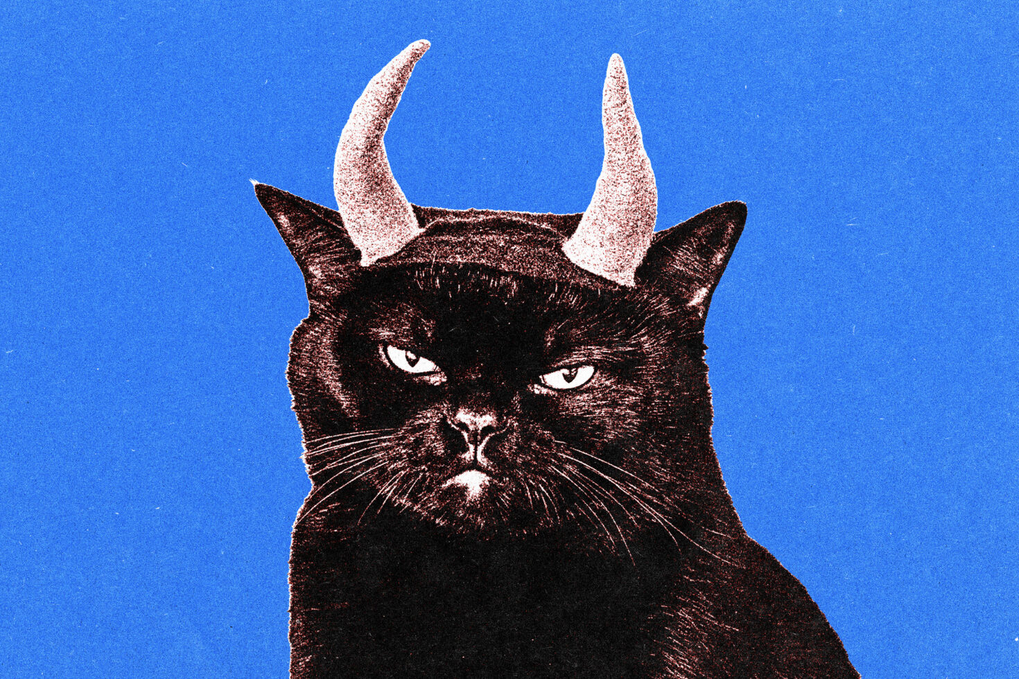 Black cat head with sparkly devil horns staring straight ahead against bright blue background