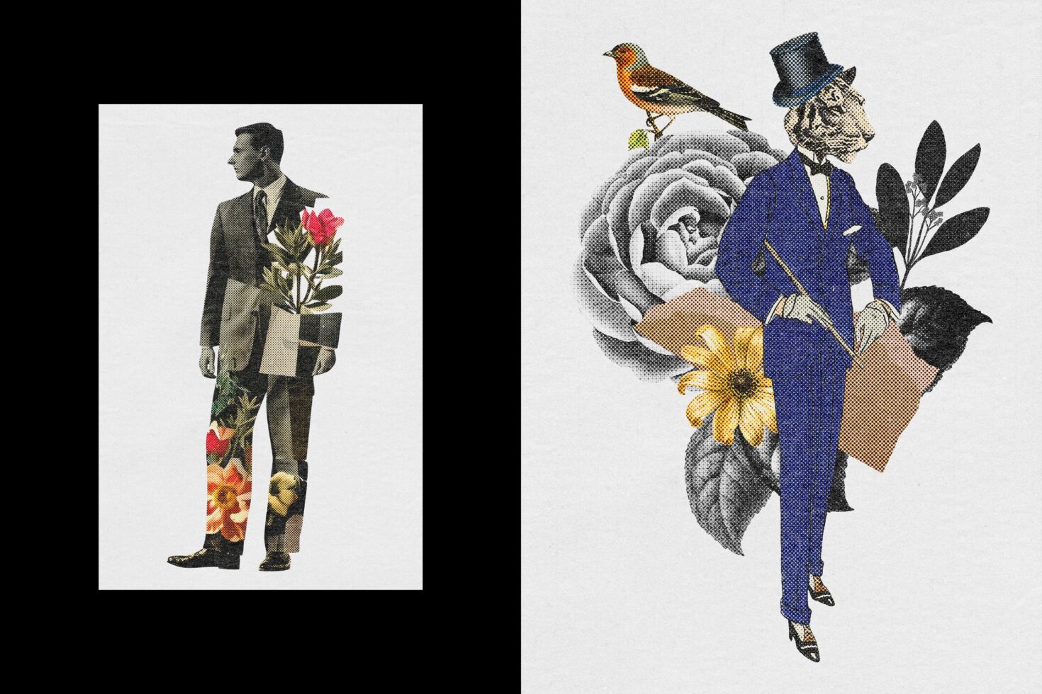 Vintage collage style split image showing man with flowers, gentleman with bird illustration