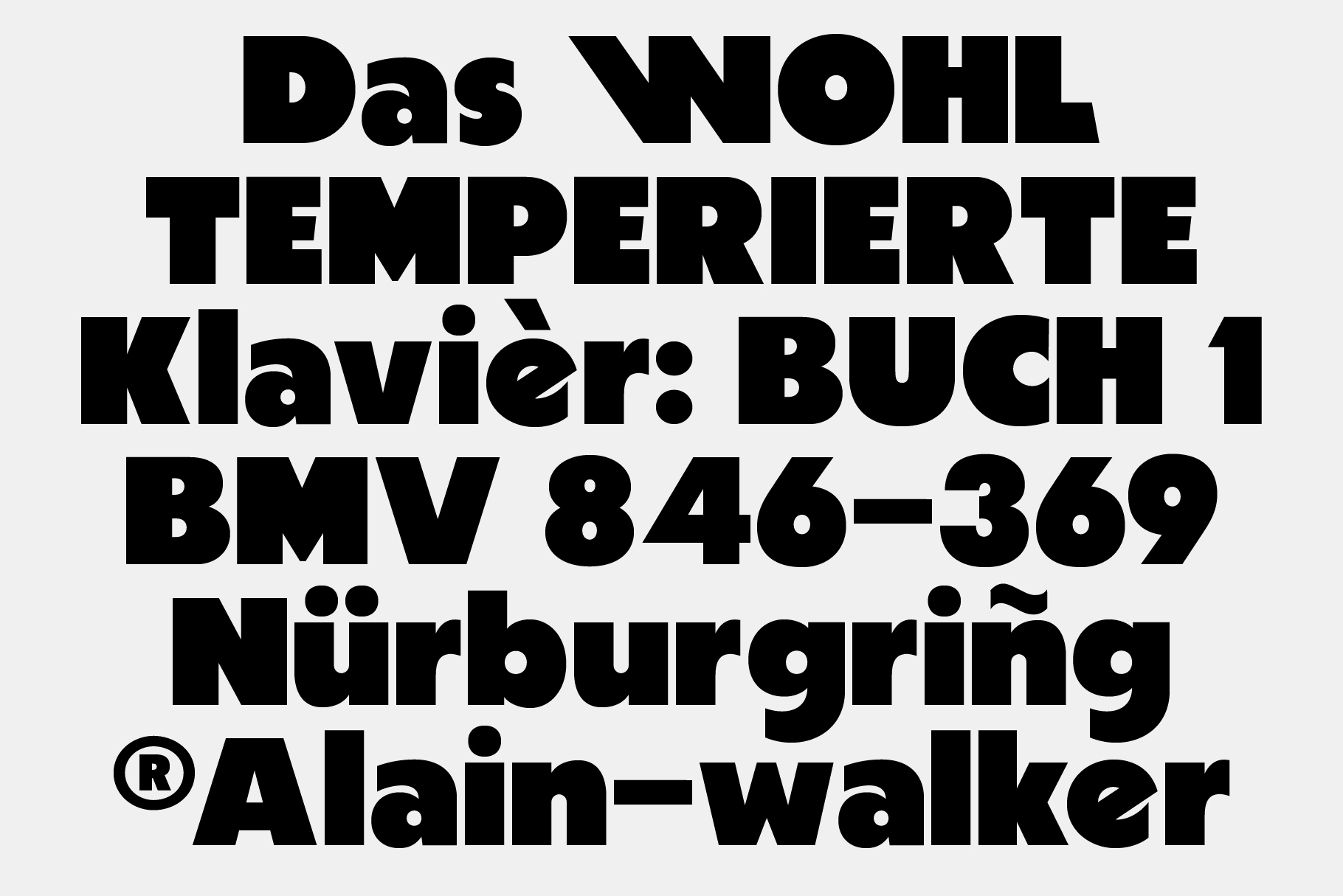 German typography book cover with black serif typeface