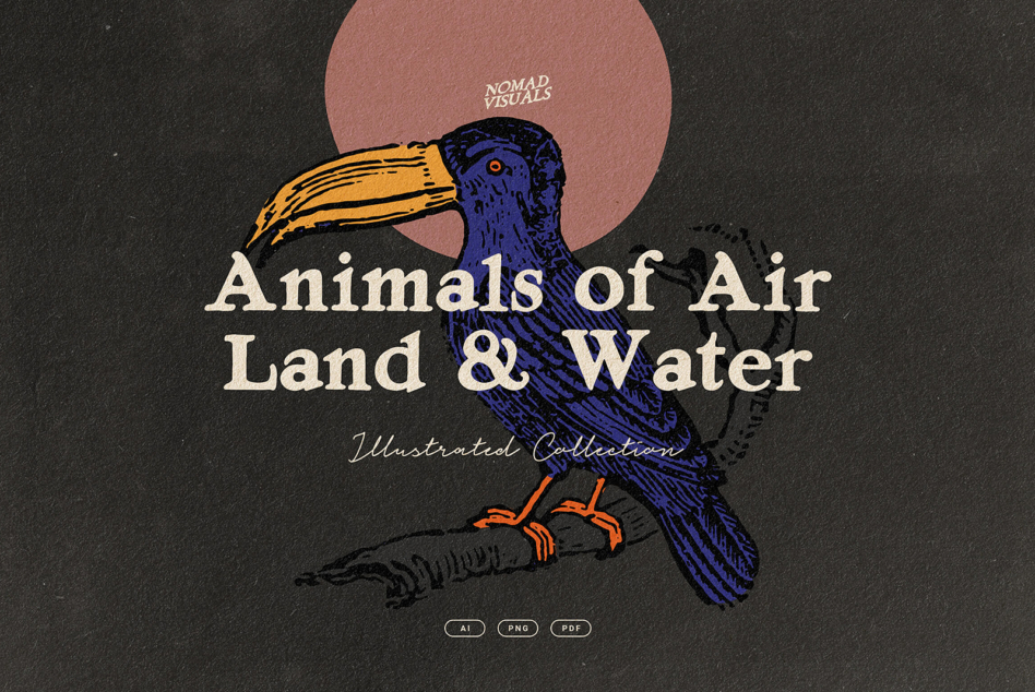 Toucan bird illustration with yellow beak on dark background with text overlay