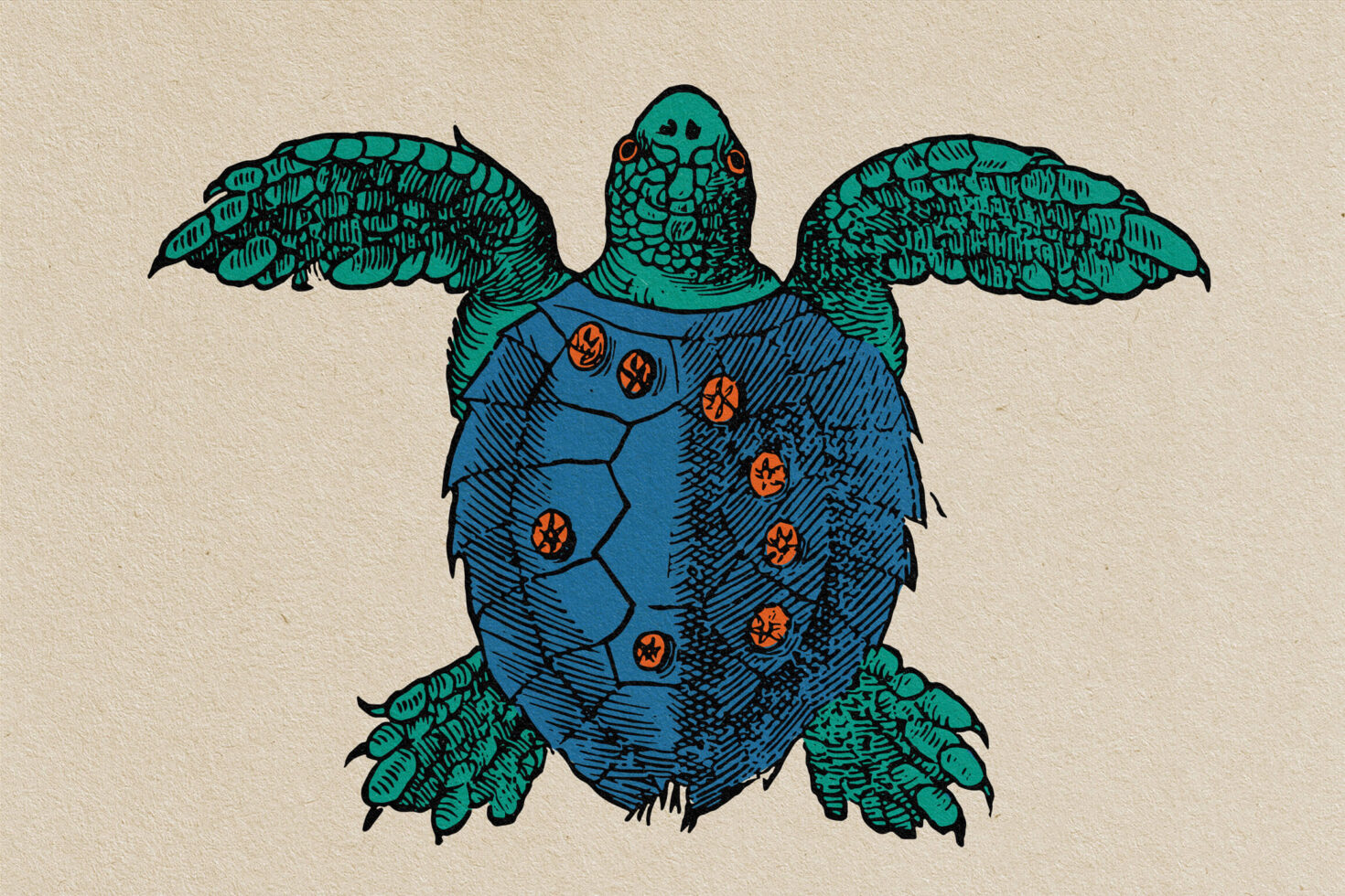 Colorful turtle illustration with blue shell, green head, feet, detailed pattern