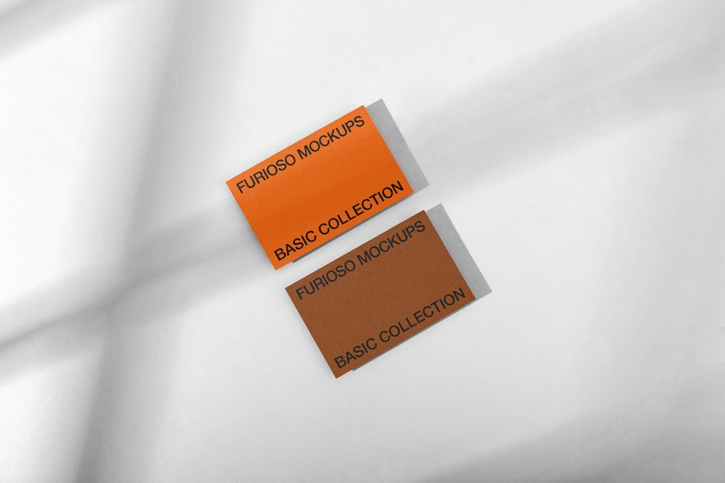 Overhead shot of two business card mockups on white surface with soft shadows