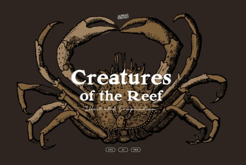 Illustrated cover titled Creatures of the Reef with detailed engraved crab