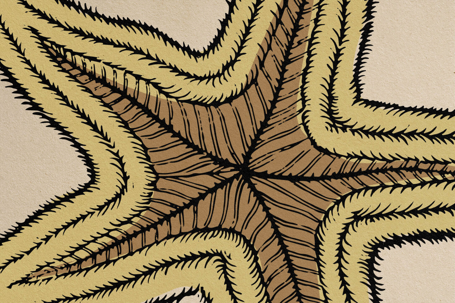 Yellow ochre line illustration of intertwined feather or fern-like organic shapes