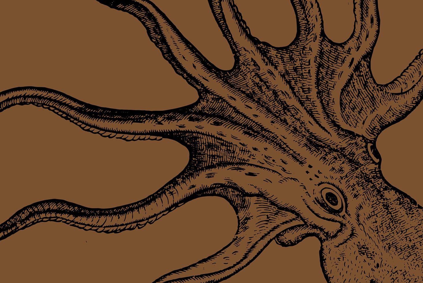 Hand drawn octopus with eight tentacles on warm brown background