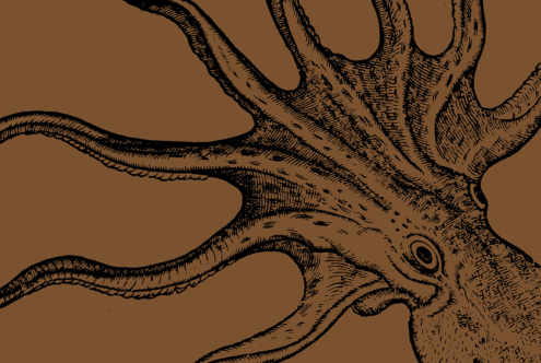 Hand drawn octopus with eight tentacles on warm brown background