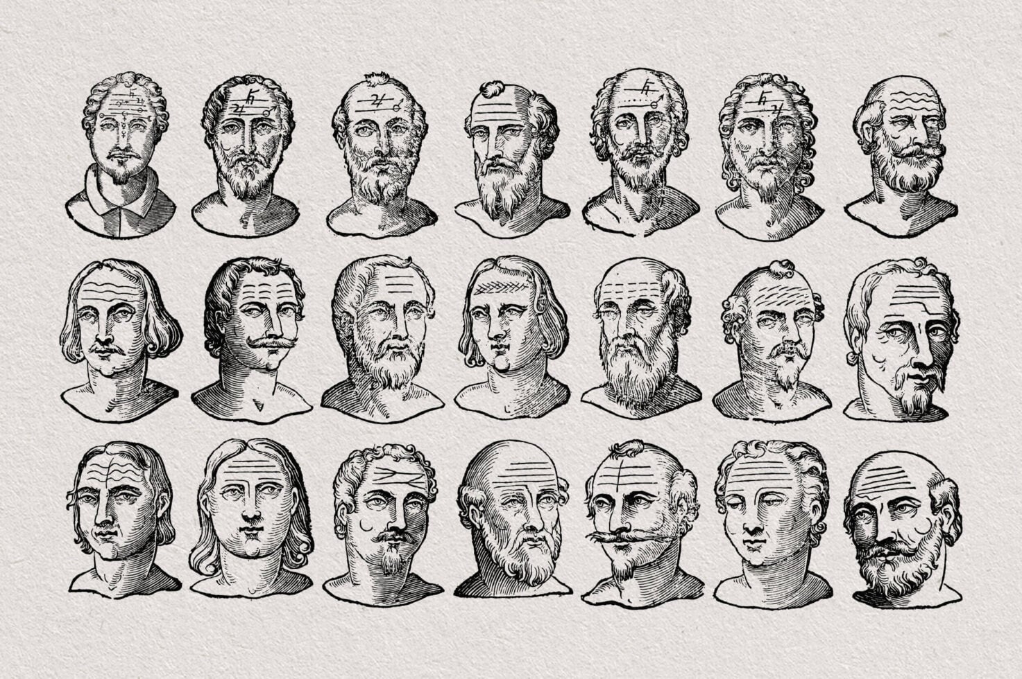 21 classical male head illustrations with varied facial features
