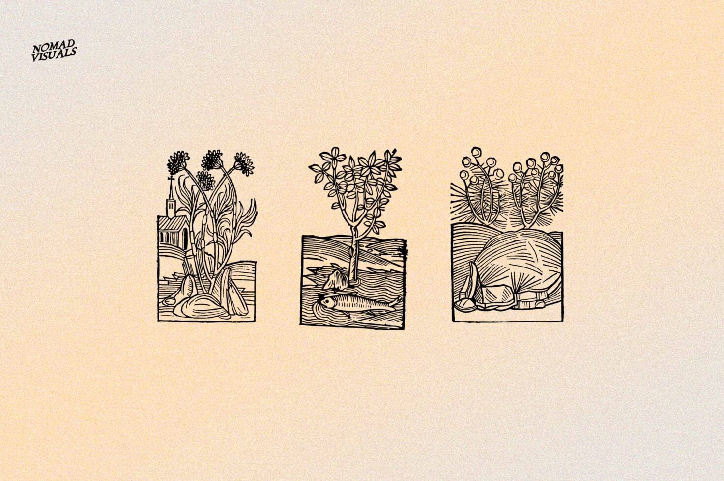 Three vintage woodcut style plants with roots in soil boxes on cream background