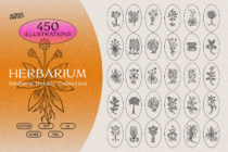 Herbarium collection with 450 vintage botanical illustrations in oval frames