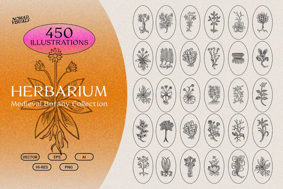 Herbarium collection with 450 vintage botanical illustrations in oval frames