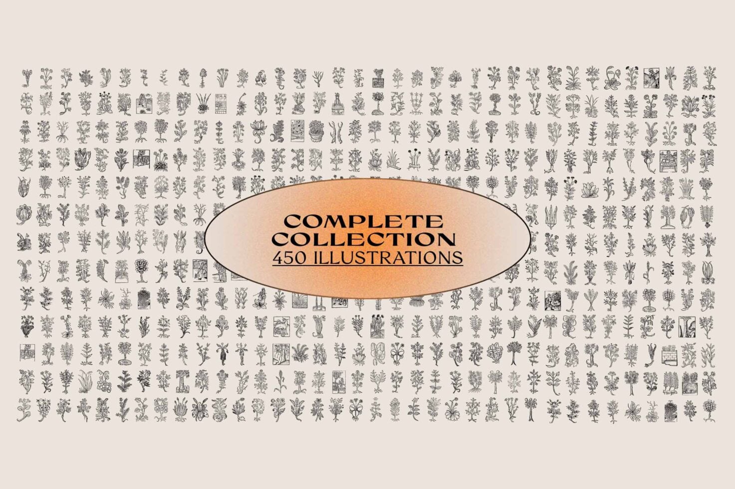 Cover showing 450 botanical illustrations collection in vintage engraving style