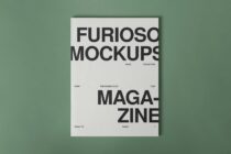 Magazine mockup flat lay on sage green with bold typography, Furioso Mockups Magazine zine layout