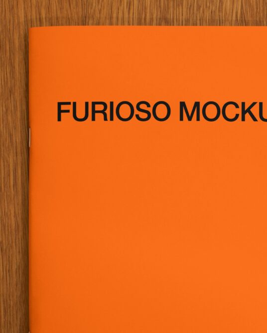 Orange book spine leaning against wood grain with black typography cutoff
