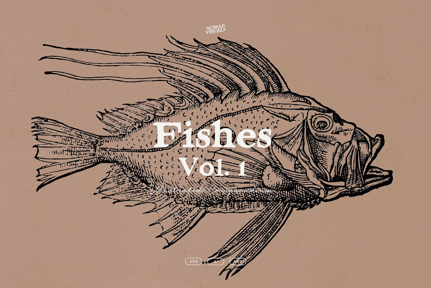 Detailed line drawing of spiky fish with text overlay on tan background