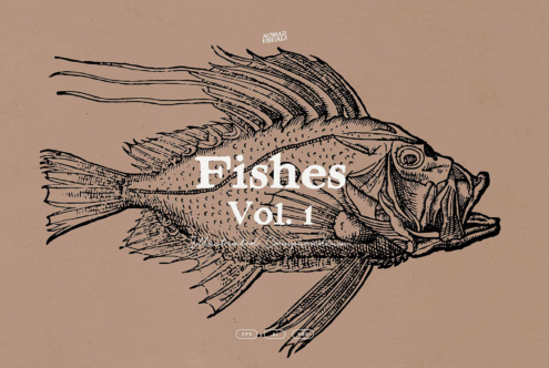 Detailed line drawing of spiky fish with text overlay on tan background